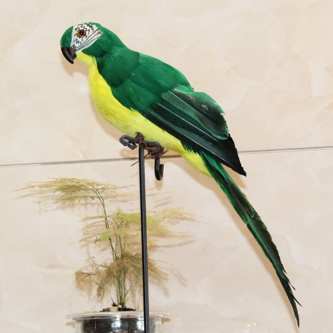 Colorful Home Garden Birds Decoration - Image 4